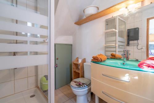 a bathroom with a sink and a toilet and a shower at Maison dans Village médiéval in Olargues