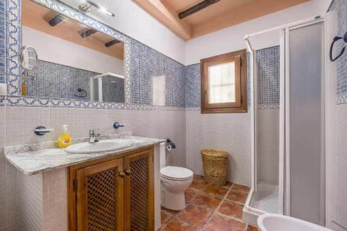 a bathroom with a sink and a toilet and a shower at Las Gallinas Cottage Orgiva in Órgiva
