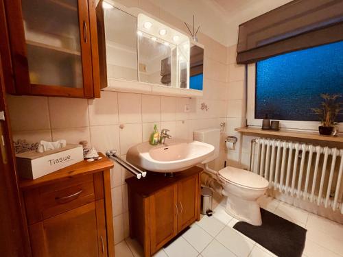 a bathroom with a sink and a toilet and a window at Ferienwohnung Bienenkorb in Selb