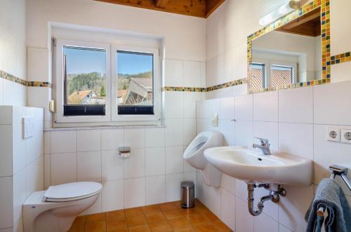 a bathroom with a sink and a toilet and a mirror at Obstgut Mit Herz Thomas Maier in Stockach