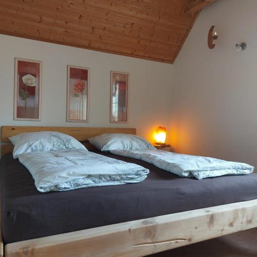 a bedroom with two beds and a lamp on a table at Birkenhof Pließkowitz in Malschwitz