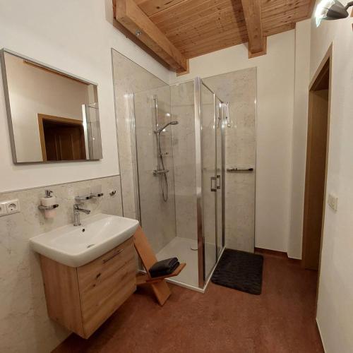 a bathroom with a sink and a shower at Birkenhof Pließkowitz in Malschwitz