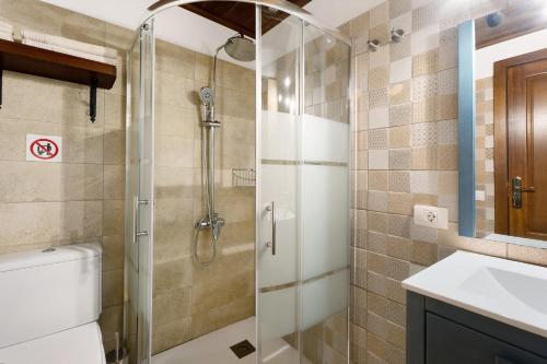 a bathroom with a shower and a toilet and a sink at Cueva El Desvelo in Tijarafe