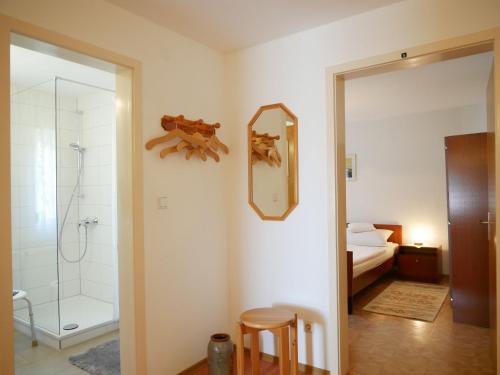 a bathroom with a shower and a mirror on the wall at Börsighof in Seebach