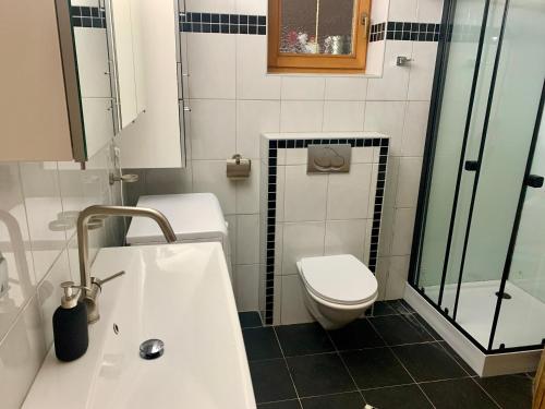 a bathroom with a toilet and a sink and a shower at Haus Auner Top 1 in Westendorf