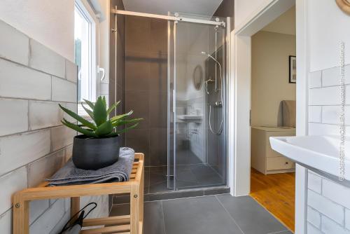 a bathroom with a shower and a potted plant at Villa Hoheneck in Wildemann