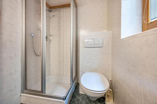 a bathroom with a toilet and a shower at Lindenhof Apt 8 in Vandoies