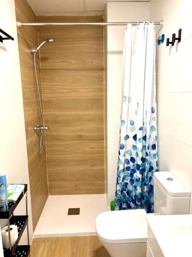 a bathroom with a shower and a toilet at La Coqueta in Zarandona