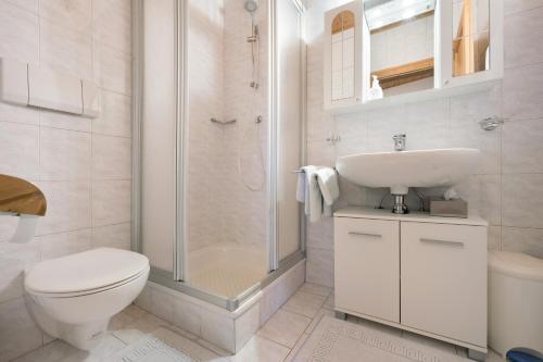 a bathroom with a toilet and a sink and a shower at Apartment Dolomitenblick in Mühlbach