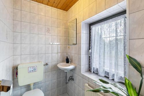 a bathroom with a sink and a toilet and a window at Ferienwohnung Boddenberg in Waldbröl