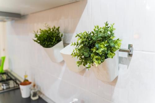 two potted plants on a wall in a kitchen at Casa Io in Mindelo