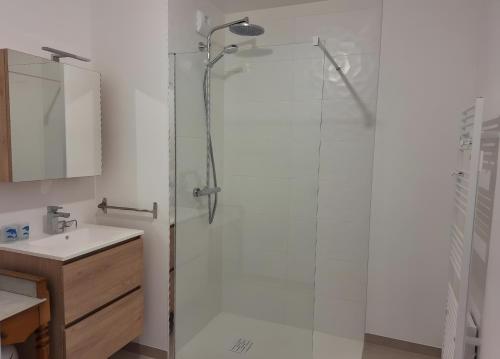 a bathroom with a glass shower with a sink at Résidence Oscar Wilde entrée A in Neufchâtel-Hardelot