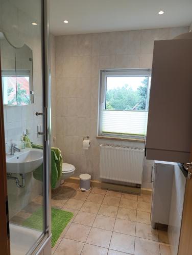 a bathroom with a sink and a toilet and a window at Zirbelkiefer 8 in Bad Klosterlausnitz