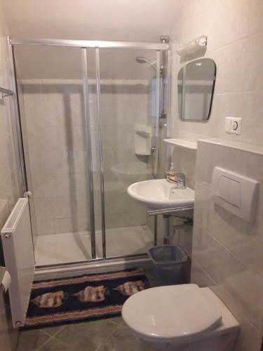 a bathroom with a shower and a toilet and a sink at Landlhof in Ramsau
