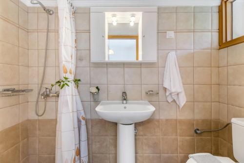 a bathroom with a sink and a mirror at Nikoleta Apartment 2 in Nikiana