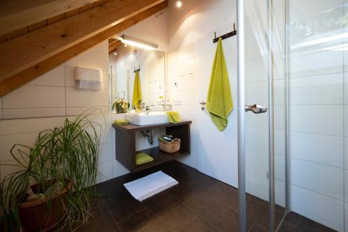 a bathroom with a shower and a sink at Ferienhaus Hulda in Öhningen