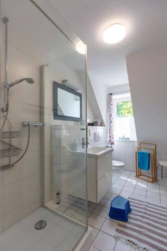 a bathroom with a shower and a sink at Ferienhof An Der Wehle Pellworm in Pellworm