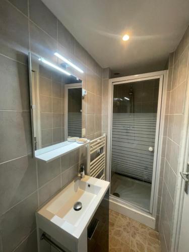 a bathroom with a sink and a mirror and a shower at Duplex charmant centre Joigny - C1 in Joigny