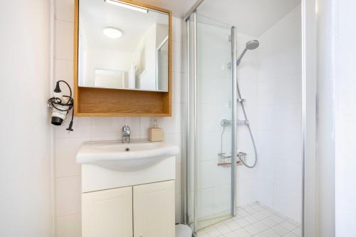 un bagno con lavandino e doccia di Appartement Drenec a Fouesnant