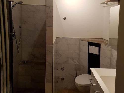 a bathroom with a shower and a toilet and a sink at Ferienwohnung Meerblick in Wangerland