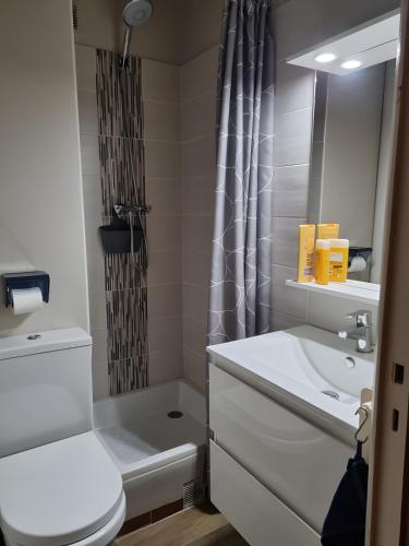 a bathroom with a toilet and a sink and a shower at Studio Fontanarosa centre station in Vars