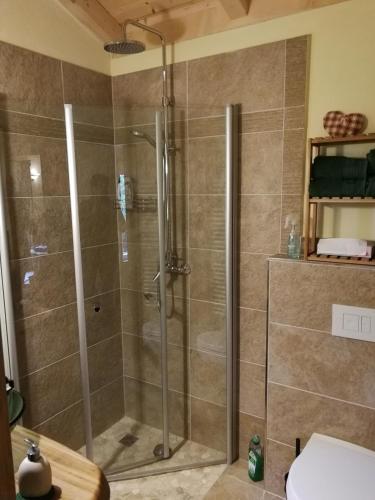 a shower with a glass door in a bathroom at Jagdhaus Franz in Krahne
