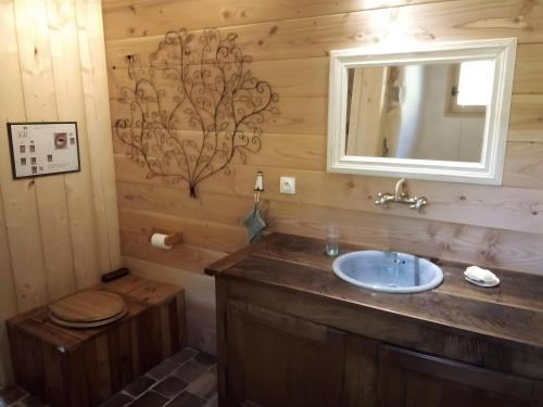 a bathroom with a sink and a mirror at Ferme Des Montagnes Bleues in Bellegarde-en-Diois