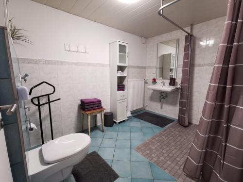 a bathroom with a toilet and a sink at Ferienwohnung Hogh, 55qm, Terrasse in Beuren