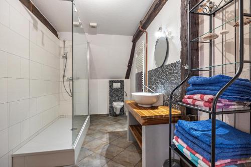 a bathroom with a shower and a sink at De Olle Uhlhoff in Barlt