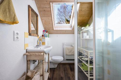 a tiny bathroom with a sink and a toilet at Chalet Jarrier 1400 in Jarrier