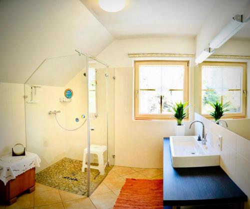 a bathroom with a shower and a sink at Haus Rosenheim in Ramsau am Dachstein
