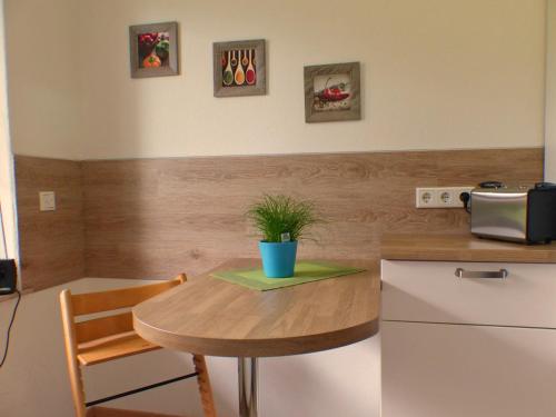 a small kitchen with a small table with a plant on it at Ferienwohnung am Lerchenweg in Möhnesee