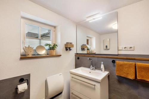 a bathroom with a sink and a mirror at Ferienhaus Mittendrin in Jesberg