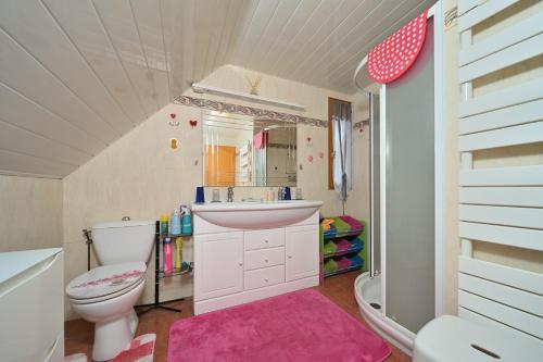 a bathroom with a toilet and a sink and a shower at Jolie Maison Vallee D'aure 4étoiles in Pailhac