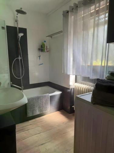 a bathroom with a bath tub and a sink at Komfort trifft Natur in Albbruck