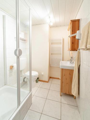 a bathroom with a shower and a toilet and a sink at Haus Süderkamp in Langeneß