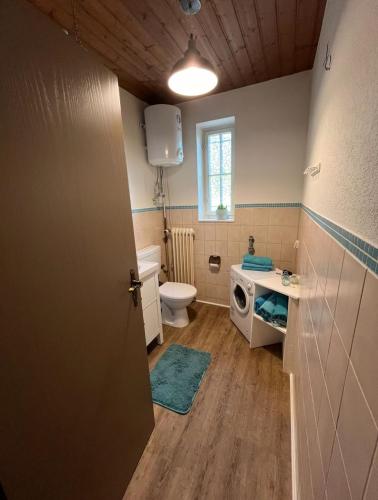 a bathroom with a toilet a sink and a washing machine at Ferienwohnung Modelshauser Mühle in Hinterbuch