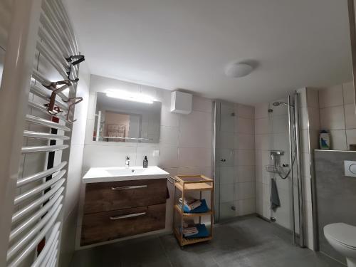 a bathroom with a sink and a shower at Ferienwohnung Rheinnähe in Bad Säckingen