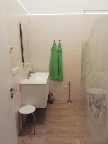 a bathroom with a sink and a green towel at Loewe Bad Frankenhausen in Bad Frankenhausen