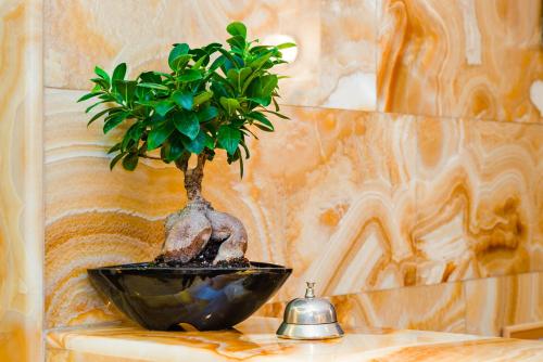 a plant in a black bowl sitting on a table at Akrata Beach Hotel in Akrata