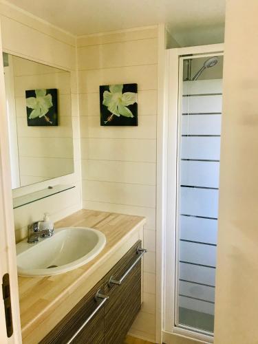 a bathroom with a sink and a mirror at Chalet Strandliebe Bredene in Bredene