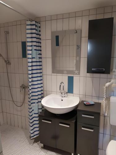 a bathroom with a sink and a shower at Ferienwohnung Naturglück in Sundhagen-Niederhof