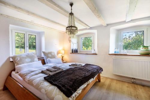 a bedroom with a large bed in a room with windows at Ferienwohnung auf dem Wald 6 Pers in Görwihl