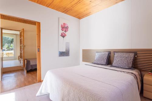 a bedroom with a bed and a window at Gîte dels Ocells in Camélas