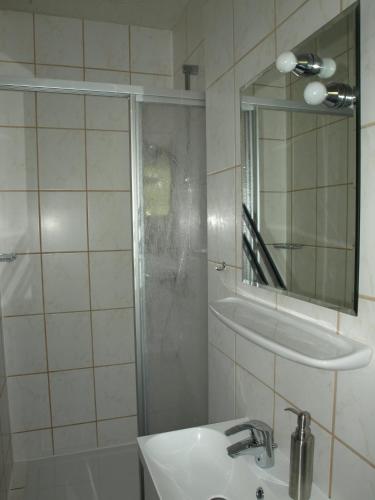 a bathroom with a shower and a sink and a mirror at Apartment Mengelberg in Markkleeberg