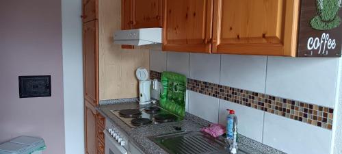a kitchen counter with a stove and a sink at Zur Schmiede in Hasselförde