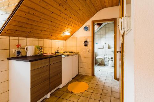 a kitchen with a sink and a toilet in a room at Gala in Stockach