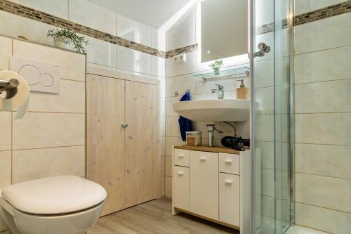 a bathroom with a toilet and a sink at Haus Erichsen in Perlesreut