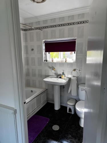 a white bathroom with a sink and a toilet at Shakti Rio Mino in San Bartolomé
