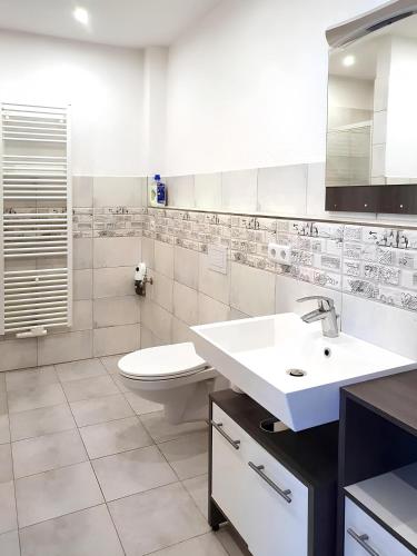 a white bathroom with a toilet and a sink at Geräumige moderne 3 Raumwohnung in Dohna